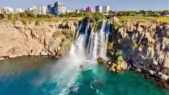 Blog Article 109, Read More...